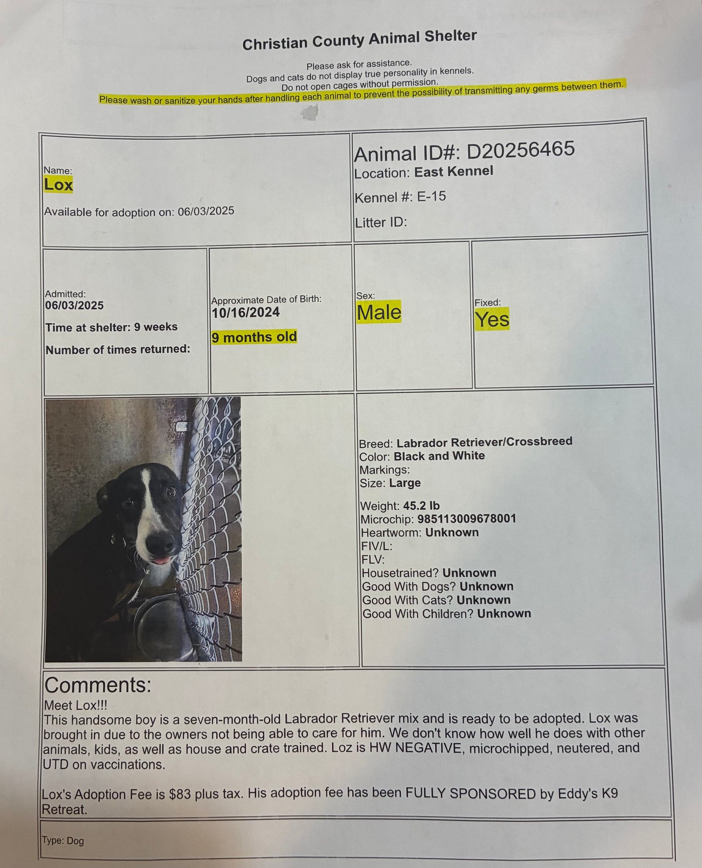 CCAS Adoption Sponsorship